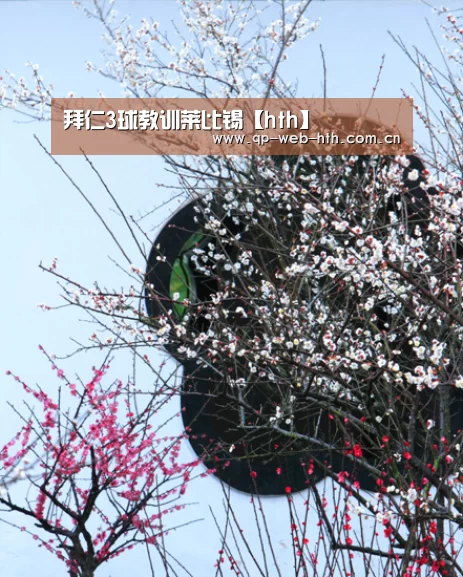 体育赛事